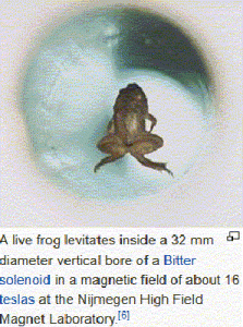 Frog levtates