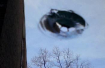 UFO Photo from Olivet College, Michigan on April 27, 2013