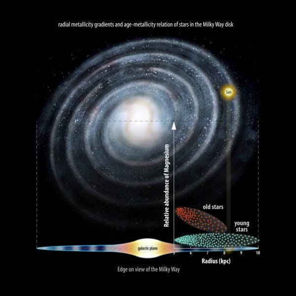 The team has shown that older, ‘metal-poor’ stars inside the Solar Circle – the orbit of our Sun around the centre of the Milky Way, which takes roughly 250 million years to complete – are far more likely to have high levels of magnesium. The higher level of the element inside the Solar Circle suggests this area contained more stars that “lived fast and die young” in the past. (Credit: University of Cambridge)