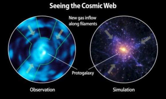 Comparison of Lyman alpha blob observed with Cosmic Web