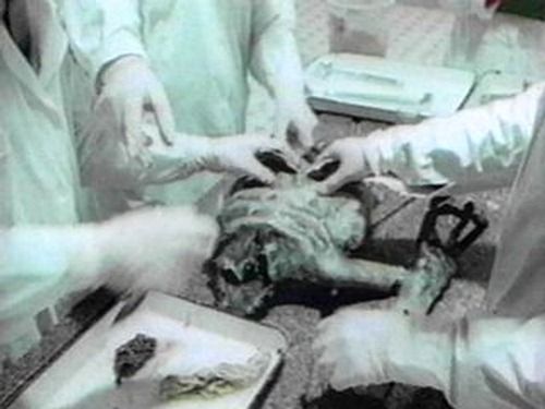 Russia Crash Alien Autopsy