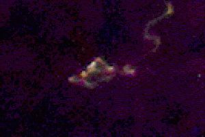 UFO Photo Alabama Slocomb 16May14 triangle