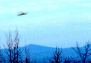 UFO Photo NC Chickory 14Dec12