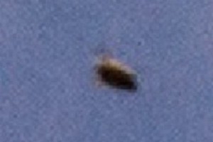 UFO Photo WA 13May14 disc Closeup