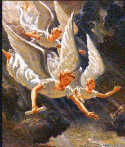 Angels diving