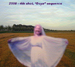 Doya2008Brooke