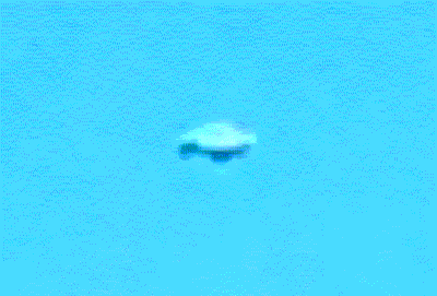 UFO photographed over Highway 75, in Florida on January 4, 2016