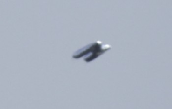 Object photographed over Istanbul, Turkey on April 29, 2018