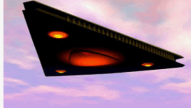 Triangle Damaged  Fishing Boats